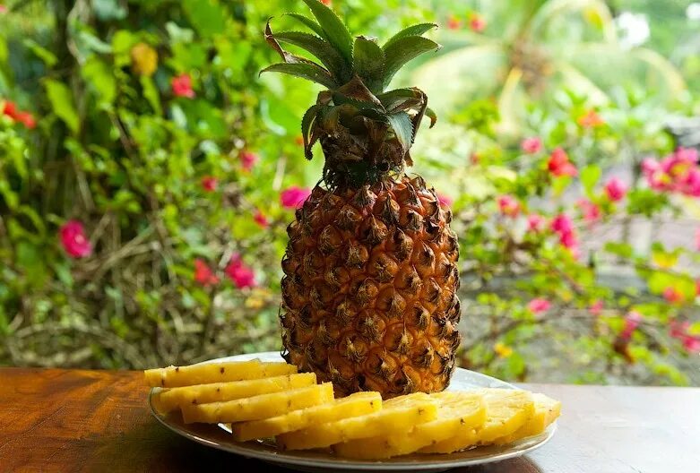 День ананаса картинки. Ананас. Красивый ананас. Ананас фото. Ананас фрукт.