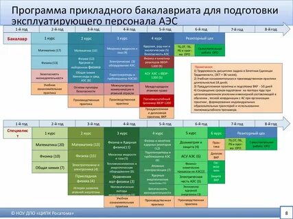 Программа бакалавриата история