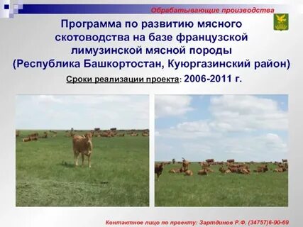 Скотоводство перспективы развития