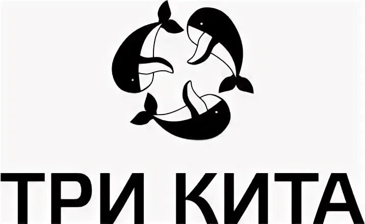 3 кита сканворд