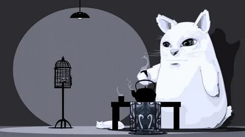 Zxc кот