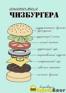 Бургер состав
