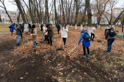 Отчет о субботнике в школе весной