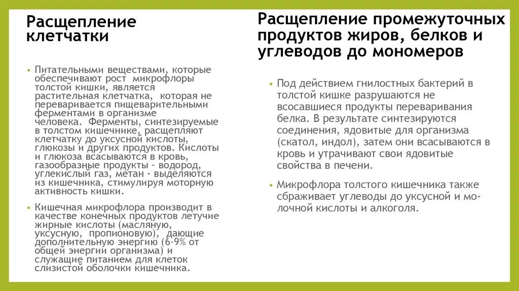 В толстом кишечнике происходит расщепление клетчатки