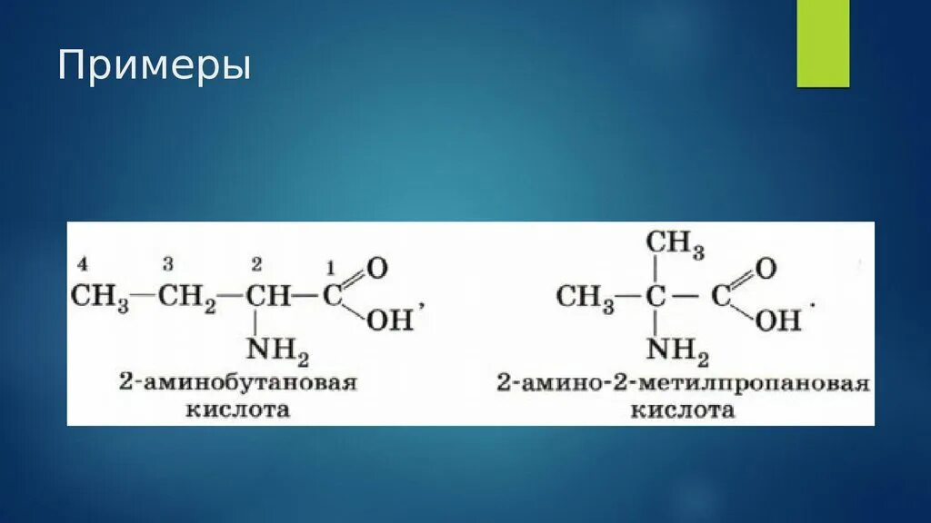 4 Аминобутановая кислота формула. 3 Аминобутановая кислота. Аминобутановая кислота формула. 2 Аминобутановая кислота. Формула аминобутановой кислоты