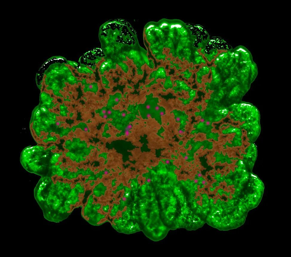 3d methods