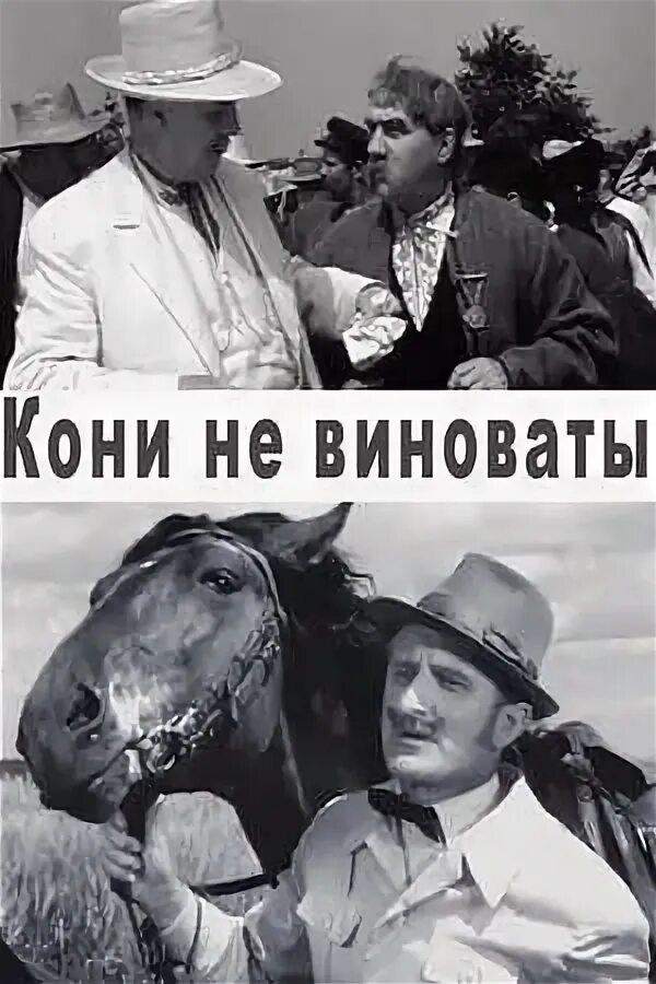Красивые лошади. Во всем виноват конь. Лошадь с цветком во рту. Конь виновато. Опасность лошади для человека.