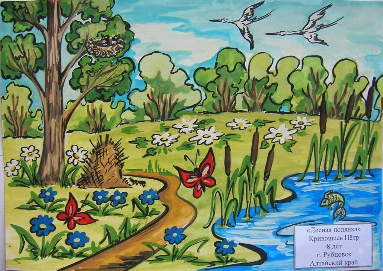 Рисунок на тему природа. Детский рисунок природа. Иллюстрация на тему природа. Рисунки для детей на тему природа летом. Рисование Лесная Поляна.