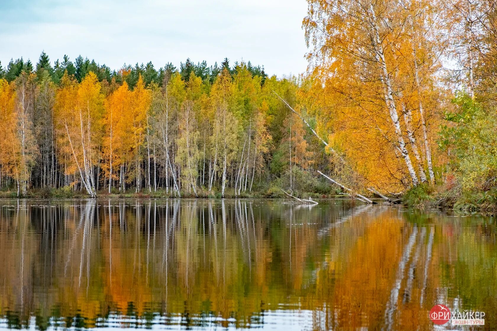 Лахтинский разлив. Озеро Лахтинский разлив Санкт-Петербург. Озеро Лахтинский разлив. СПБ озеро Лахтинский разлив. Лахтинский лес Архангельская область.