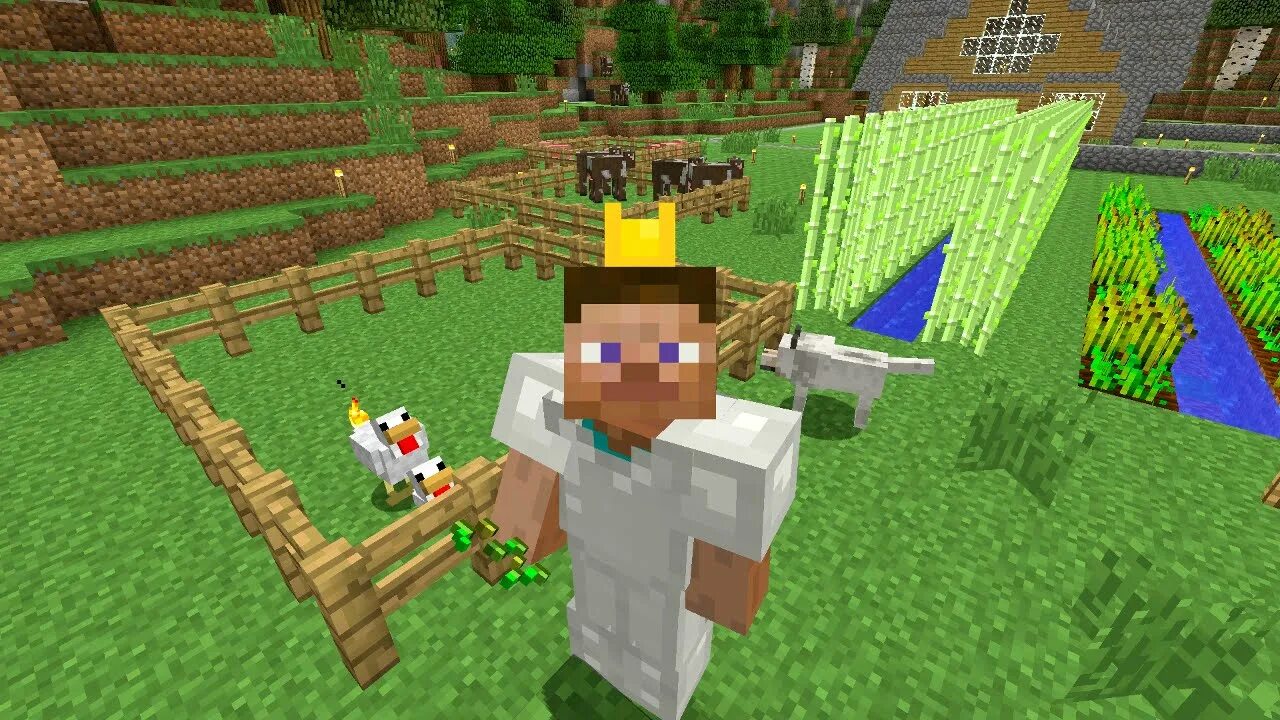 Farming 24