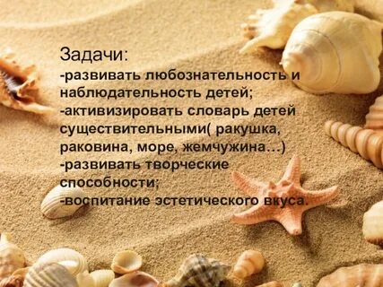 Песня ракушка