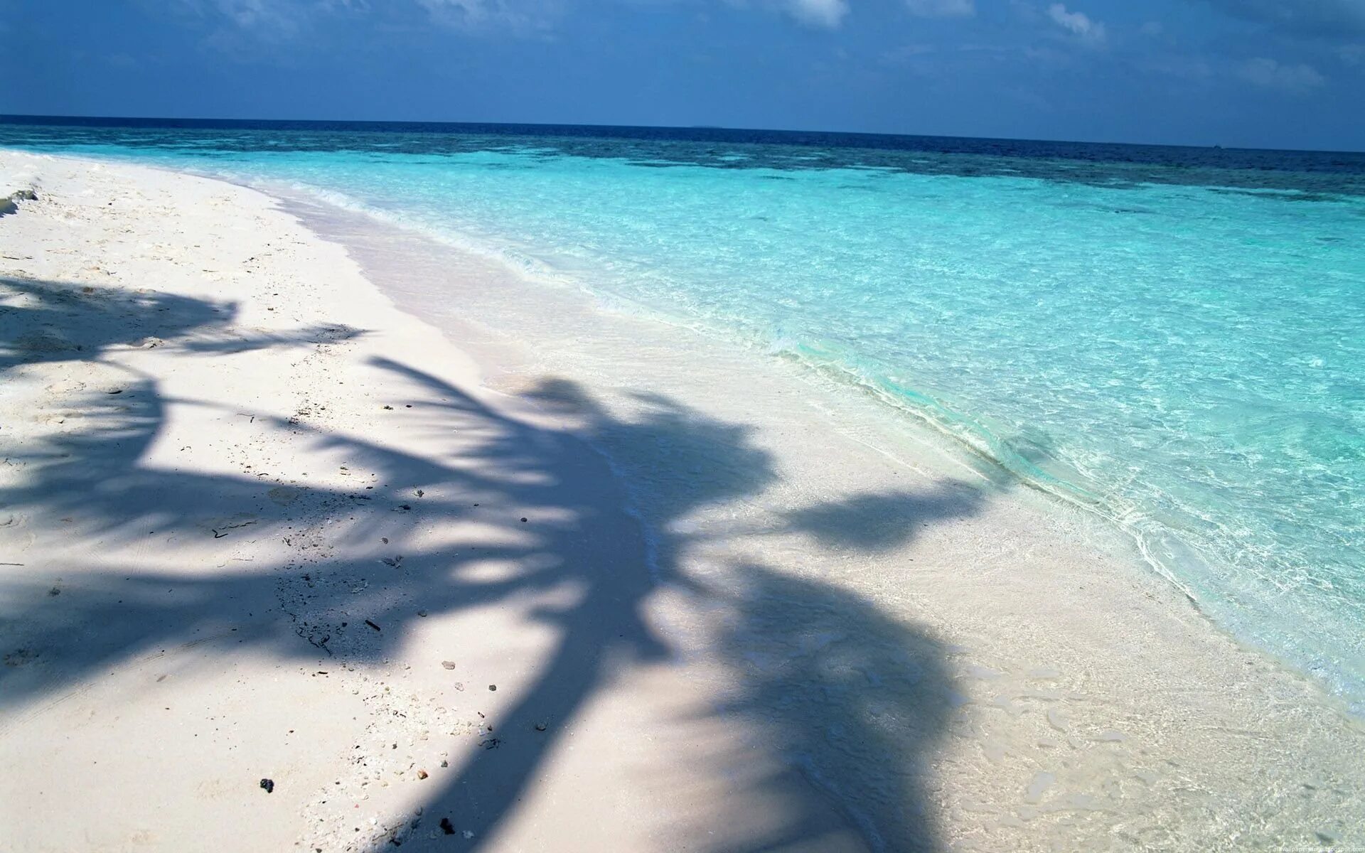 Море море белый песок музыка. Солнце море белый песок. White sand beach бали. Солнце море белый песок. Крымские мальдивы беляус.