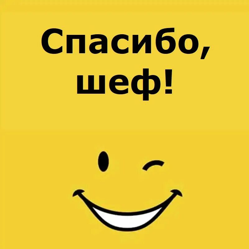 Благодарность юмор. Благодарность прикольная. Спасибо начальник. Спасибо прикольные. Благодарность картинки прикольные.