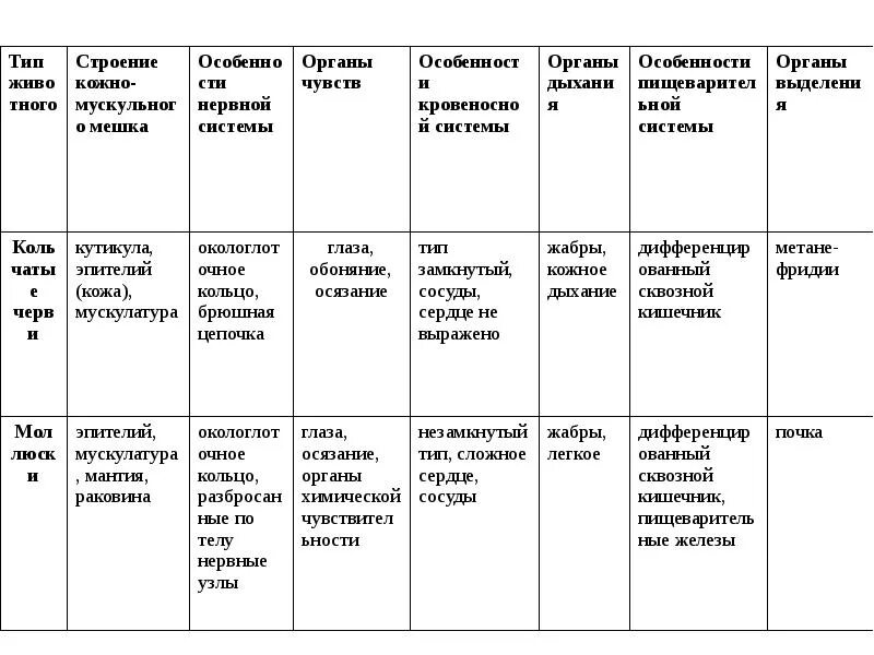 Картинки ЗАПОЛНИТЕ ТАБЛИЦУ ТИП МОЛЛЮСКИ