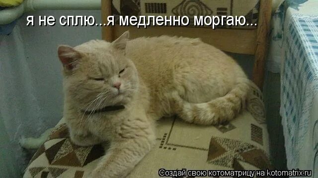 Мигай медленно. Мигай медленно. Несплю. Медленно моргаю мем. Я не сплю просто.