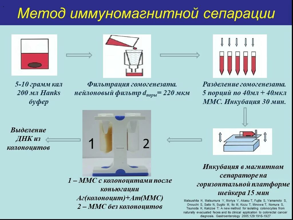 Днк кала. . метод выделения нуклеиновых кислот на стекле.. основные методы выделения геномной днк, принципы. иммуномагнитная сепарация. основные методы выделения нуклеиновых кислот.