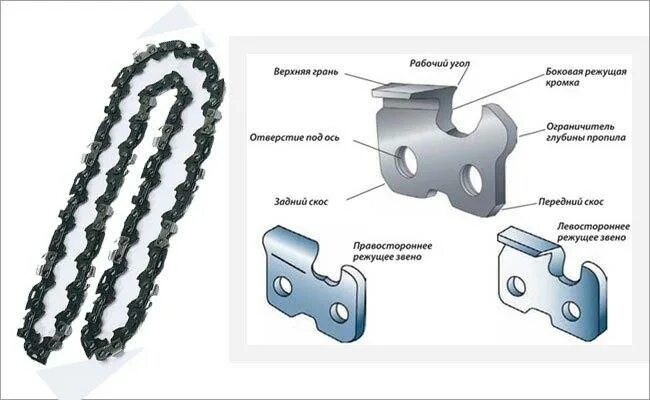 Направление зубьев цепи. Как правильно установить цепь на бензопилу. Как ставить цепь на электропилу направление. Как правильно установить цепь на бензопилу направление. Направление зубьев цепи электропилы.