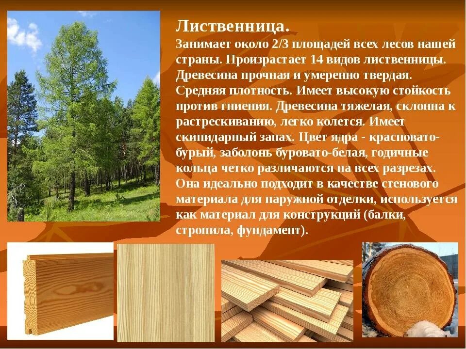Из какого дерева строили