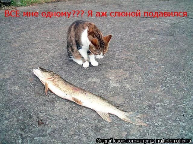 Давлюсь слюной причины