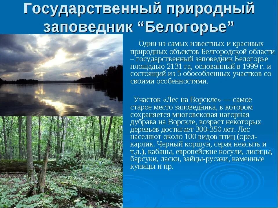 Цель создания природных парков. Заповедник Белогорье в Белгородской области. Заповедники Белгородской области. Доклад о заповеднике. Заповедные места Белгородской области.