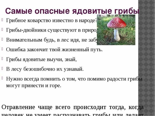 Грибы опасные для животных. Опасные ядовитые грибы. опасные ядовитые грибы в лесу. опасные грибы для человека 2 класс. опасные грибы в лесу для человека.