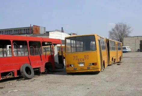 Черникова автобусы