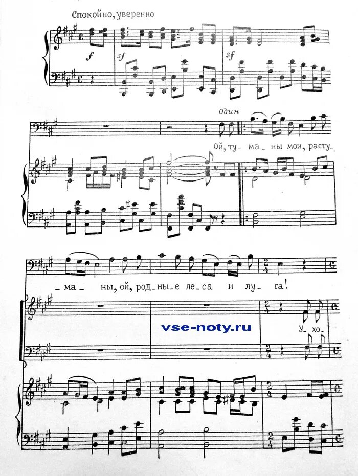 Песня туманы туманы верните мне маму. Слова песни туманы верните маму. Туман слова. Слова песни туманы верните маму. Туманы-туманы верните.