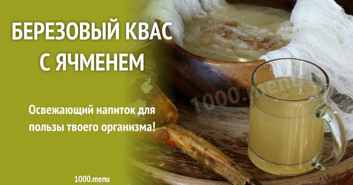 Березовый квас. Березовый квас этикетка. Квас ячмень. Березовый квас с ячменем. Березовый квас с темным квасом