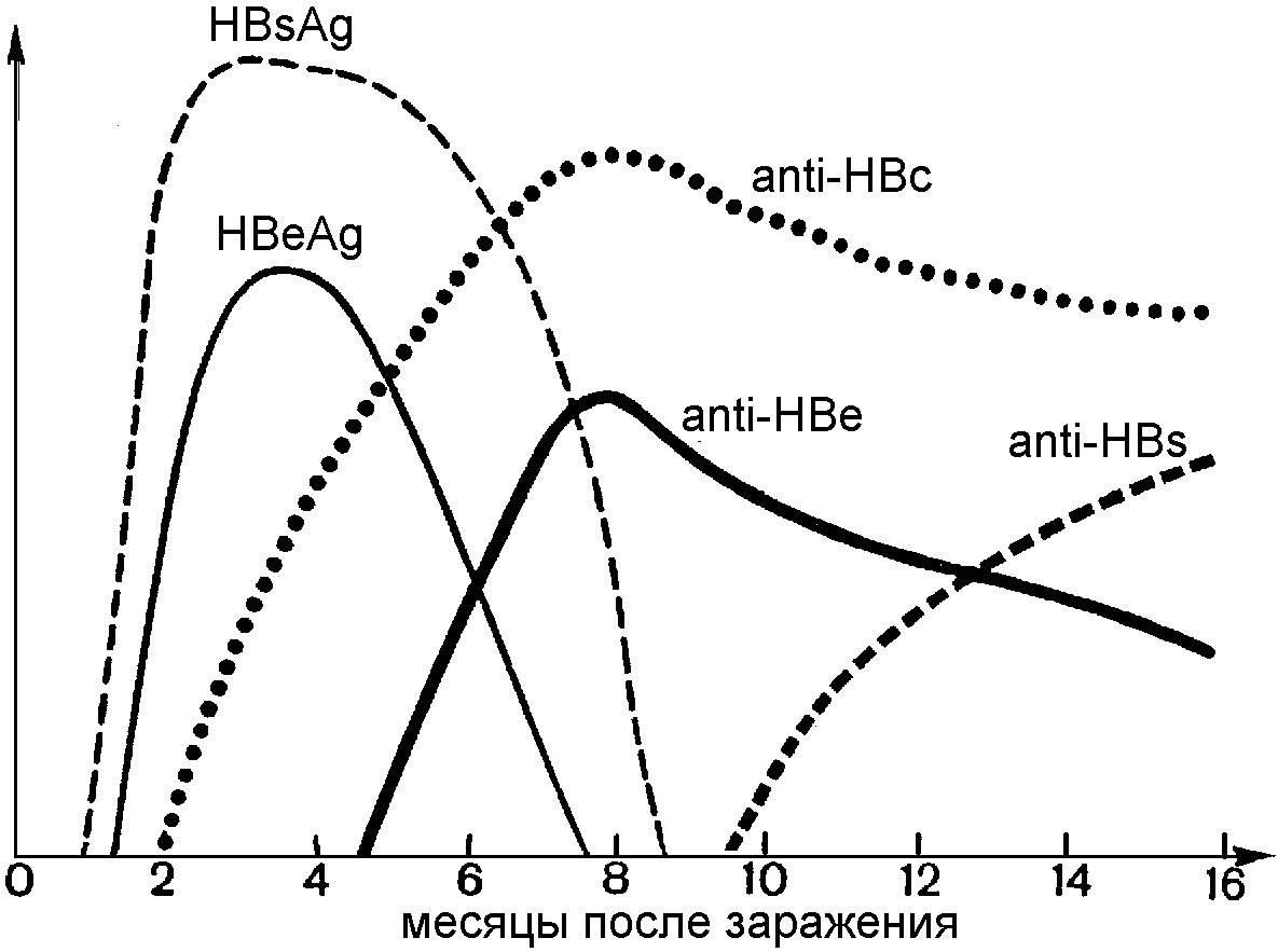 Гепатит b HBSAG. HBEAG отрицательный. HBE антиген вируса гепатита в. Поверхностный антиген вируса гепатита в HBSAG.
