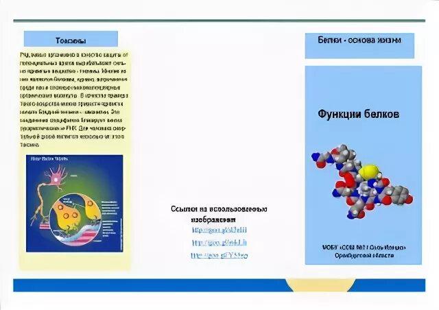Конспект урока белки 10 класс