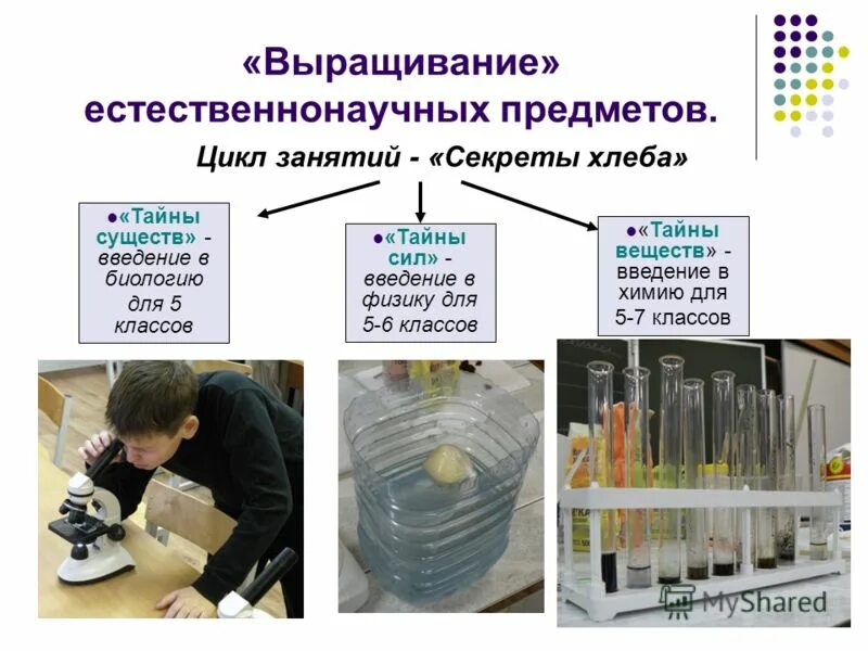 Естественнонаучная грамотность на уроках биологии. Естественнонаучные дисциплины. Естественнонаучные предметы. Дисциплины естественнонаучного цикла. Естественно-научные предметы.