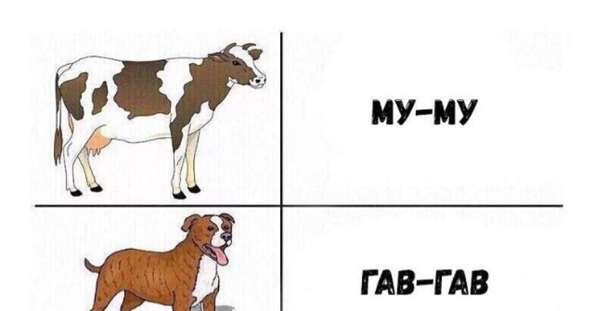 Как говорят домашние животные. Кто как говорит домашние животные. Кто как говорит. Кто как говорит картинки. Как разговаривают животные картинки.