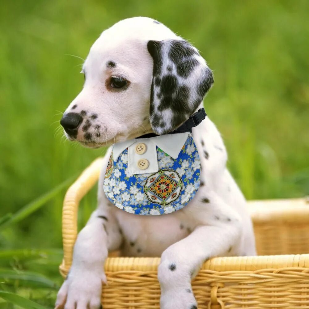 паппи золотистый ретривер. щенок. собачки живые. обои щенки. английский кокер-спаниель.