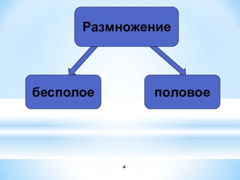 Каковы особенности бесполого размножения 6 класс