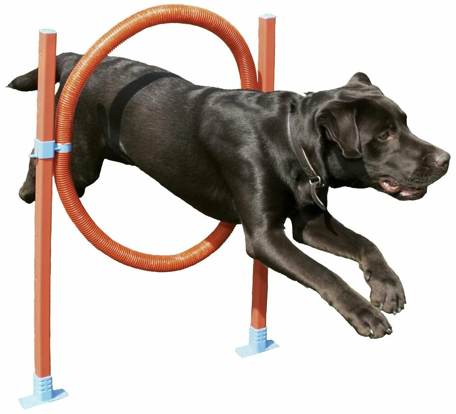 Набор для аджилити Trixie Jump. Снаряды для аджилити для собак. Оборудование для собачьих площадок «барьер бум1». Тренажеры для собак. К1 купить для собак