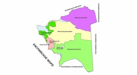 Шұңқыр семіз