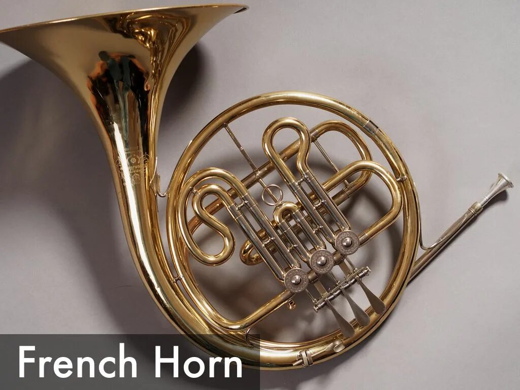 Как выглядит инструмент валторны. French horn музыкальный инструмент. дискант валторна. валторна 19 века. робин и валторна.