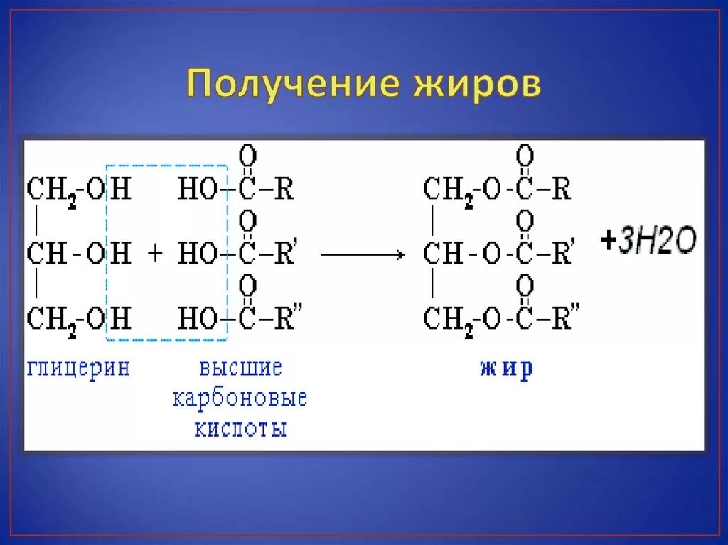 Формула образования жира. Формула получения жиров. Пример реакции получения жиров. Реакция образования жира из глицерина. Жиры образованы карбоновыми кислотами