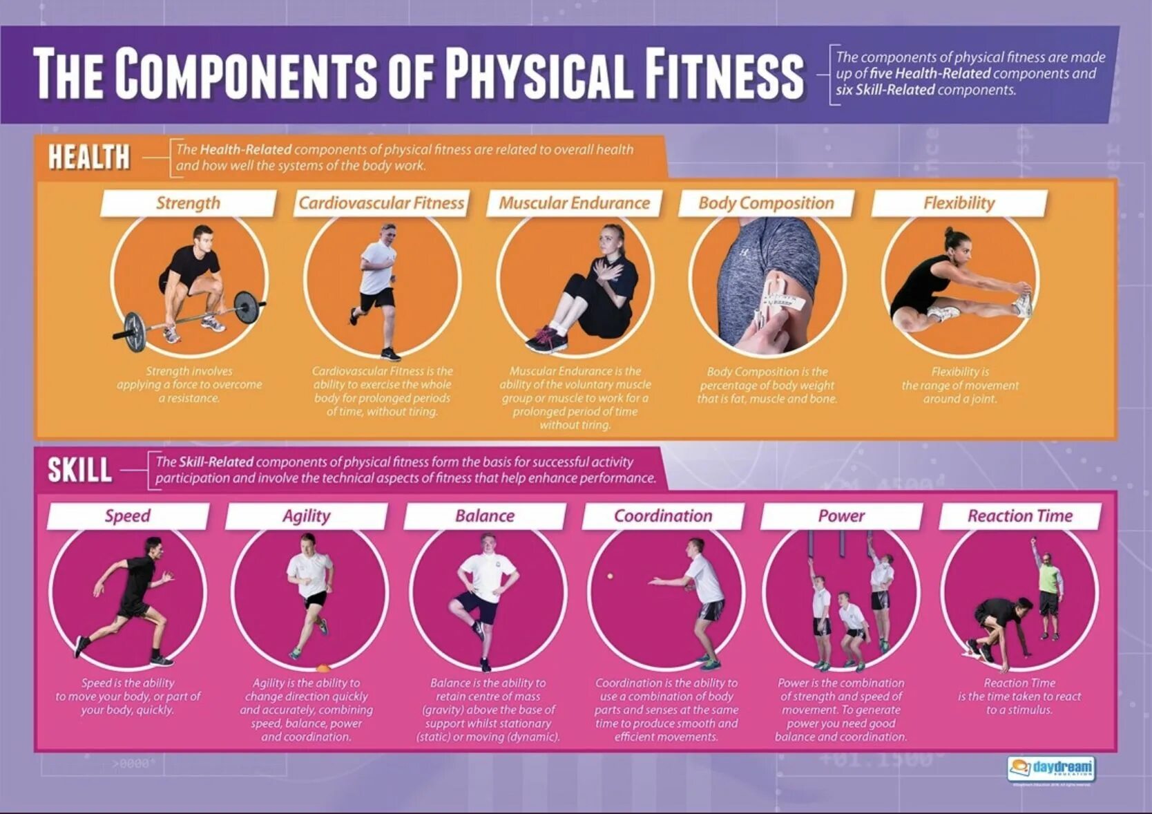 Physical Health components. Physical activity grafic. Physical skill примеры. Фитнес МАШКЛАРИ схема.