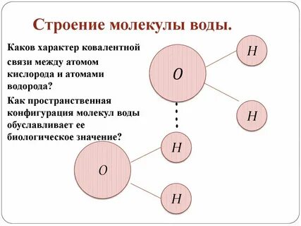 Какая связь между молекулами кислорода