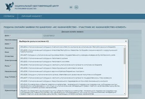 Системы казначейство клиент