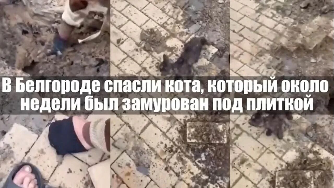 Работа меня спасла