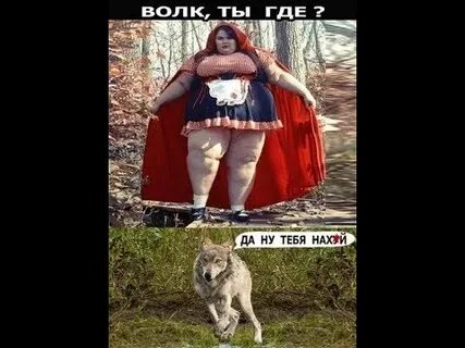 Подожди поставь