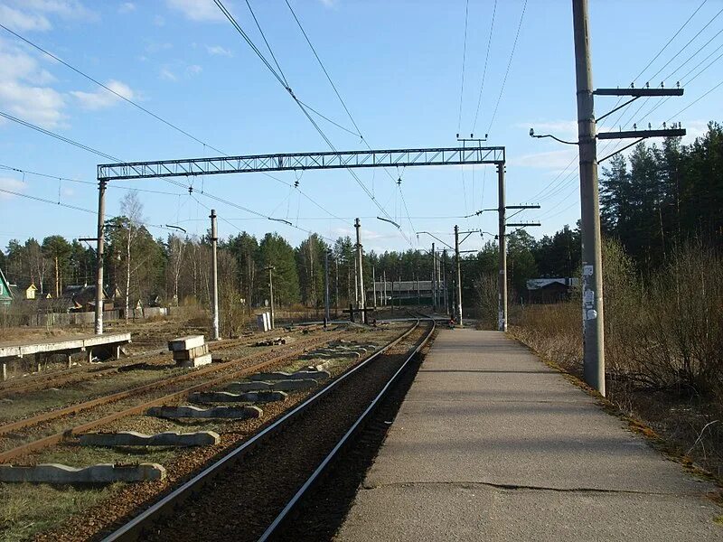 Поселок берендино воскресенский район. Станция поселок. Рабочий поселок кунцево. Станция вырица ленинградская область. Станция рабочий поселок мцд 1.