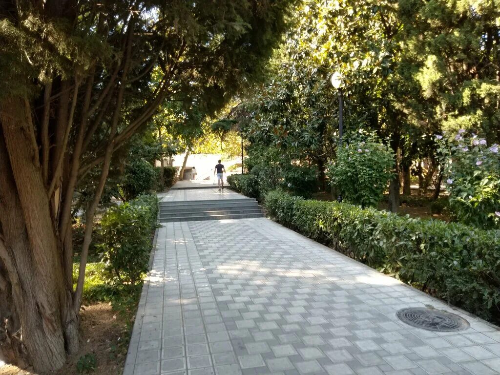 аллеи бульвары скверы барнаул. улица садовая парк. сад дворца юсуповых в санкт-петербурге. липа аллея париж. кб стрелка проект сквер белинского пенза.