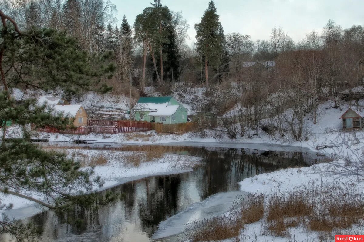 чаща посёлок ленинградская область. чаща посёлок ленинградская область садоводство. чаща посёлок ленинградская область. посёлок чаща гатчинский район. погода в чаще гатчинского.