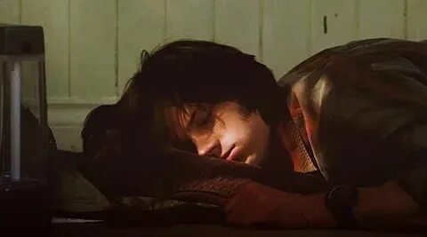 Sam sleeping