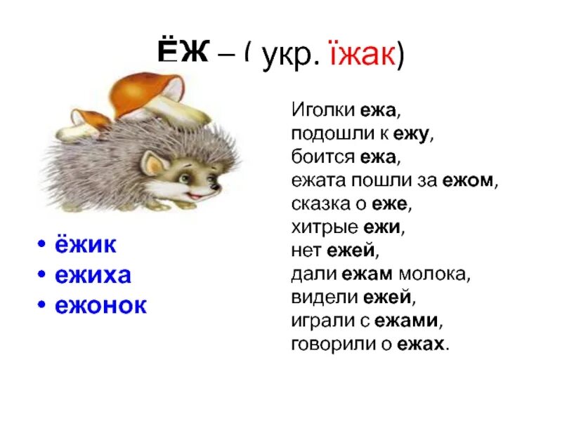 Ежик количество звуков. Стихотворение хитрый Ежик. Хитрый еж стихотворение. Хитрый еж. Ежонок хитрый.