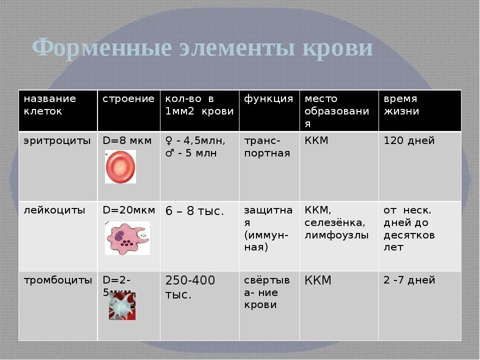 Элементы крови и их функции. Форменные элементы крови таблица биология 8 класс. Форменные элементы крови таблица 8. Основные функции форменных элементов крови лейкоциты.