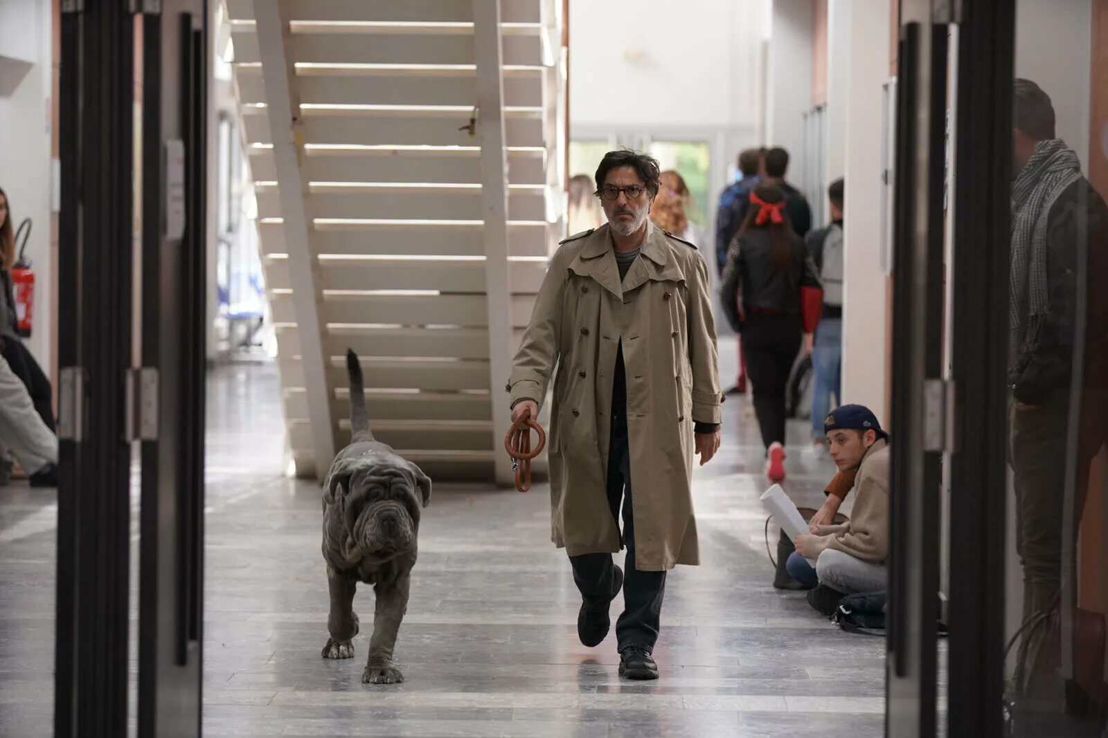 мой пес идиот фильм. моя собака идиот mon chien stupide, 2019. моя собака идиот (2019). моя собака. моя собака идиот фильм 2019.